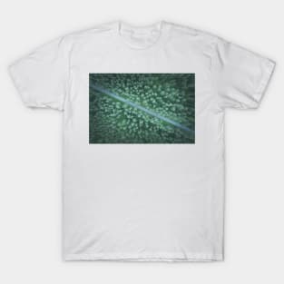 Car on the road going diagonally through the forest top down aerial view T-Shirt
